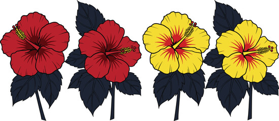 Set of Red and Yellow Hibiscus Flowers Vector Illustration with Dark Leaves for Tropical Nature Design or Pattern © Sahed