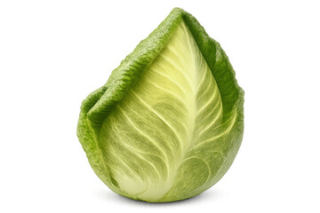 Pointed cabbage fresh green vegetable on transparent background offering healthy diet and organic food concepts