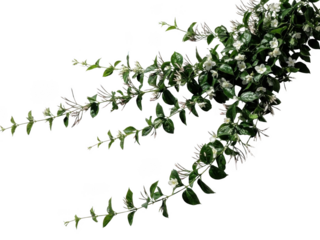 Hanging greenery with white flowers