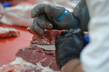 Details with the hands of a butcher, a knife in one and a metal glove in the other, cutting a pork carcass
