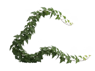 Green leafy garland