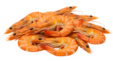 Fresh Cooked Shrimp Prawns with Bright Orange Shells on White Background