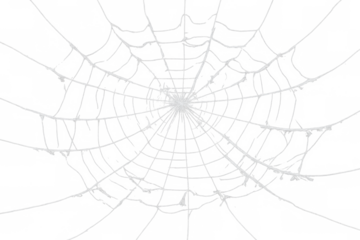 Spider web or cobweb with transparent background creating a spooky trap for halloween or danger concepts