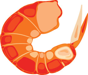 Vibrant single cooked shrimp vector drawing
