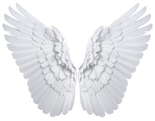 Symmetrical white bird wings spread, feathery details