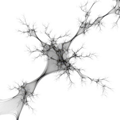 Fototapeta premium Black dead tree silhouette with bare winter branches and a forest trunk isolated on white background as a nature vector illustration