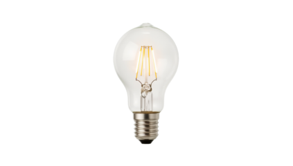 Realistic studio photo of a clear LED filament light bulb. Its classic, vintage-inspired design offers bright, warm, and energy-efficient illumination, isolated on a pure white background