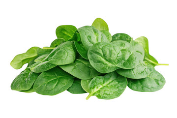Fresh bunch of vibrant green spinach leaves, healthy and ready to eat, isolated on transparent background