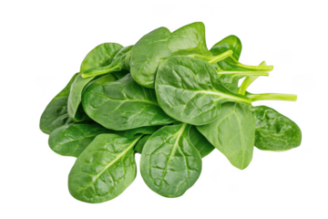 Fresh bunch of vibrant green spinach leaves, healthy and ready to eat isolated on transparent background