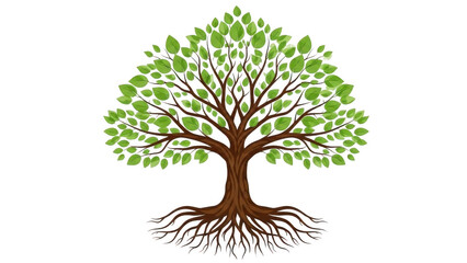 Fototapeta premium A lush green tree with deep roots