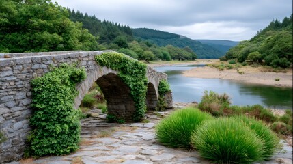 Fototapeta premium Stone bridge with ivy by Glendalough lakeshore in Wicklow Mountains
