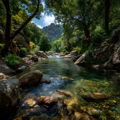 Obraz premium Serene forest creek features clear water flowing over smooth rocks, surrounded by lush green trees and rocky hills in bright daylight.