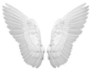 White angel wings isolated on transparent background