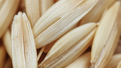 Macro Texture of Raw Oats Flakes