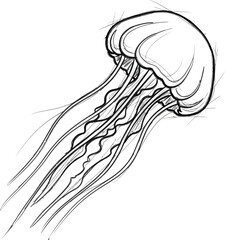 Hand drawn sketch of a graceful jellyfish floating in the deep ocean water