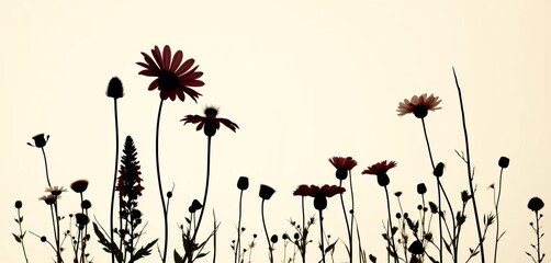 Elegant silhouettes of various wildflowers against a clean background, ideal for design projects, set, bloom