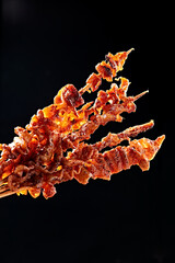 Delicious Grilled Chicken Skin