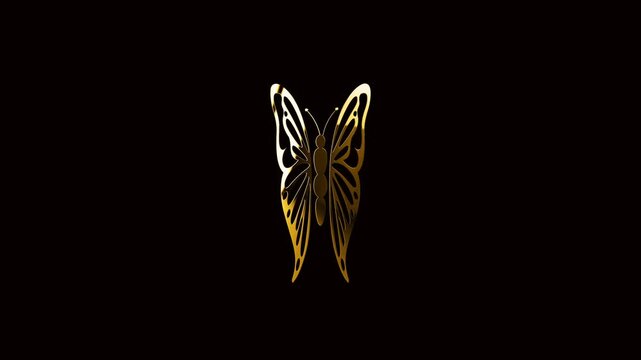 luxury golden butterfly symbol on the dark background