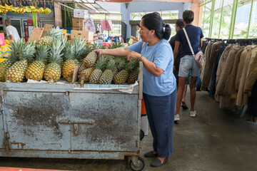 Woman selects pineapples at a market while shoppers browse clothing racks nearby in daytime