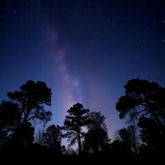 Naklejka premium Silhouette of trees against a starry night sky, symbolizing peace, trees, nature