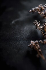 Minimalist dark macro of dry brown flowers on rustic black textured surface backdrop with copy space