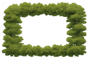 Green natural hedge forming a lush rectangular frame border, creating a garden design element with transparent background