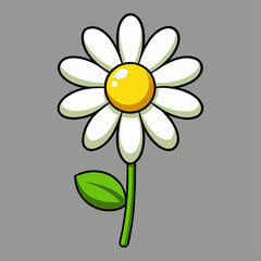 cartoon illustration of a white daisy with a yellow center and green leaf on a gray background.