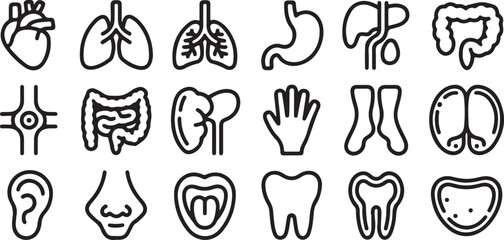 Medical outline icons depicting human organs and body parts for health and science Keywords: heart, lungs, stomach