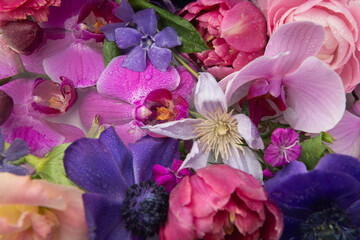 floral still life background with orchid, clematis and tulip flowers in pink and purple