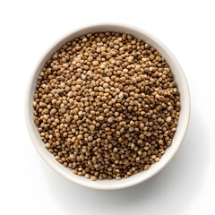 Roasted Hemp Seeds Crunchy Golden Brown Superfood Elegantly Displayed on Pure White Background, Radiating Natural Energy, Nutty Aroma, and Wholesome Charm in Modern Minimalist Food Art