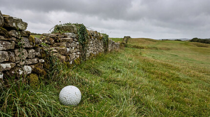 A golf ball lies in deep green grass beside a mossy stone wall