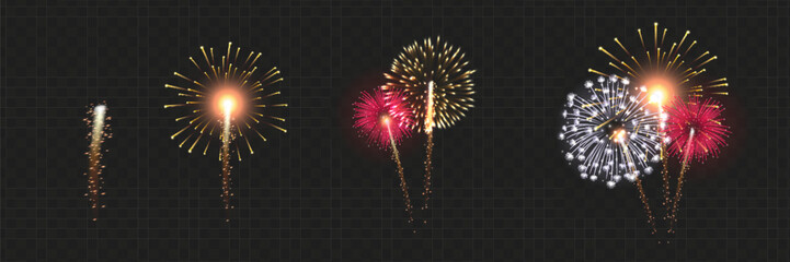 Vector Brightly Colorful Fireworks on the background of the night sky.