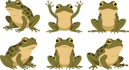 Realistic frog cartoon vector illustration set with different poses and detailed amphibian character design © Sumon Creative