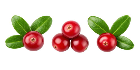 Obraz premium Cranberry berries with green leaves isolated on white background