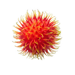 Rambutan fruit with spiky red skin and yellow tendrils isolated on white background