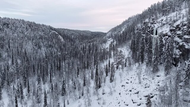 World largest forest biome, boreal taiga wildernesses spanning Finland, Sweden, Norway, and Russia, Nature reserve and national park, Lapland, Drone shot