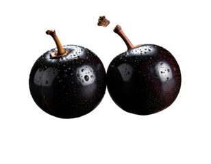 Two shiny, dark-purple fruits with brown stems and water droplets