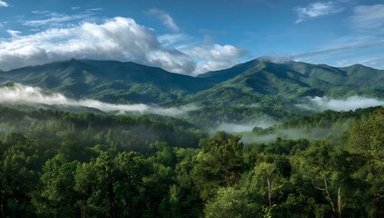 Fototapeta premium Smoky Mountains Serenity: Rolling Hills Draped in Mist, Lush Green Forest Under a Blue Sky, Natural Beauty and Tranquil Scenery of the Appalachian Landscape