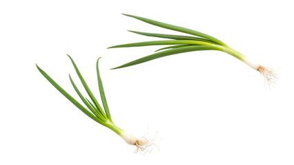 Two fresh, vibrant green onions isolated against a stark black backdrop. Roots and crisp stems are visible