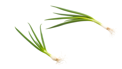 Two fresh, vibrant green onions isolated against a stark black backdrop. Roots and crisp stems are visible