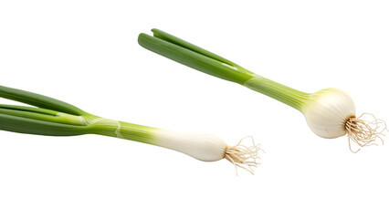 Two fresh, vibrant green onions isolated on a solid black background, showcasing their bulbs and green stalks