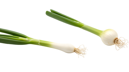 Two fresh, vibrant green onions isolated on a solid black background, showcasing their bulbs and green stalks