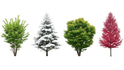 Fototapeta premium Four diverse trees in various seasons isolated on transparent background