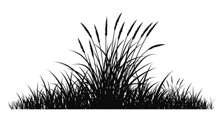 Detailed illustration of wild grasses and foliage a striking black and white silhouette © Jewel