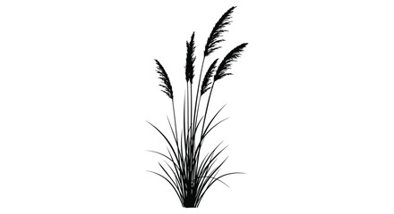 Elegant reeds and grasses detailed in a striking black and white silhouette © Jewel
