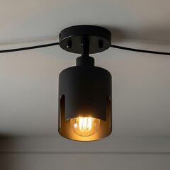 Modern black ceiling mounted light fixture illuminates a room with warm incandescent glow