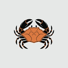 vector illustration of a crab