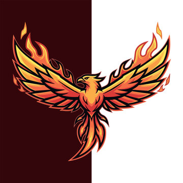 Phoenix Esport Mascot Logo Vector