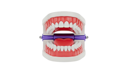 Dental Model with Heart Shape