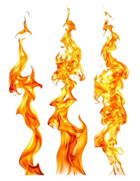 Three Flames Dancing - A Fiery Trio of Orange and Yellow.